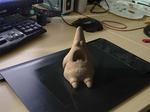  Patrick star (spongebob squarepants)  3d model for 3d printers