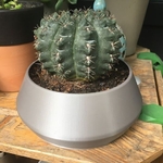  Simple cactus planter  3d model for 3d printers