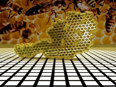 Modelo 3d de Colmena de abejas 3 para impresoras 3d