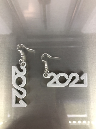  Earrings '2021'  3d model for 3d printers