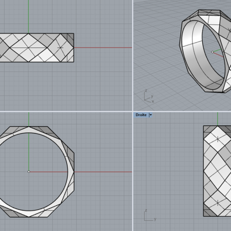 Modelo 3d de Mecánico de anillo  para impresoras 3d