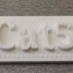 Modelo 3d de Cat5 cat6 cable de la etiqueta para impresoras 3d