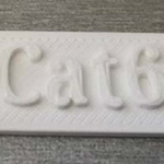 Modelo 3d de Cat5 cat6 cable de la etiqueta para impresoras 3d