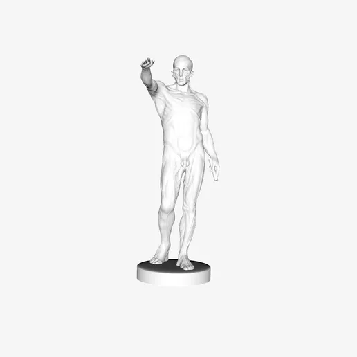 巴黎卢浮宫的《剥皮人》 3D 打印机的 3D 模型 自由的