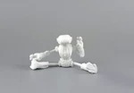  Ankly robot dressed - 3d printed assembled  3d model for 3d printers