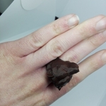  Bear ring  3d model for 3d printers