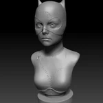  Catwoman  3d model for 3d printers