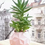  Geodesic planter pot  3d model for 3d printers