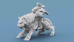  Viking wolf rider captain  3d model for 3d printers