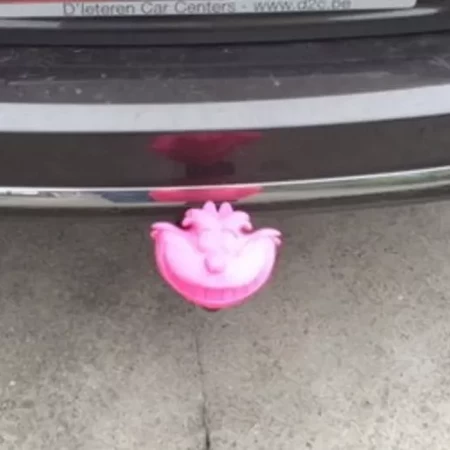 Cheshire Cat - hitch cover