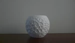 Modelo 3d de Aguas poco profundas petrificadas (soporte candelita-ruido voronoi) para impresoras 3d