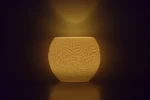  Alluvial crush (tealight holder - reaction-diffusion spirals)  3d model for 3d printers