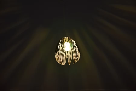 Empyreal Bloom (Pendant Light - Procedural Growth)