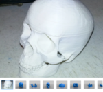 Modelo 3d de Rodajas de cráneo con la mandíbula y los dientes para impresoras 3d
