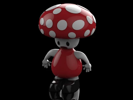 Super Mario's Toad