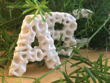 Modelo 3d de Letras de liquen para impresoras 3d