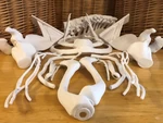  16-piece full size brachial plexus model  3d model for 3d printers