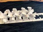 Modelo 3d de Columna vertebral portátil para impresoras 3d