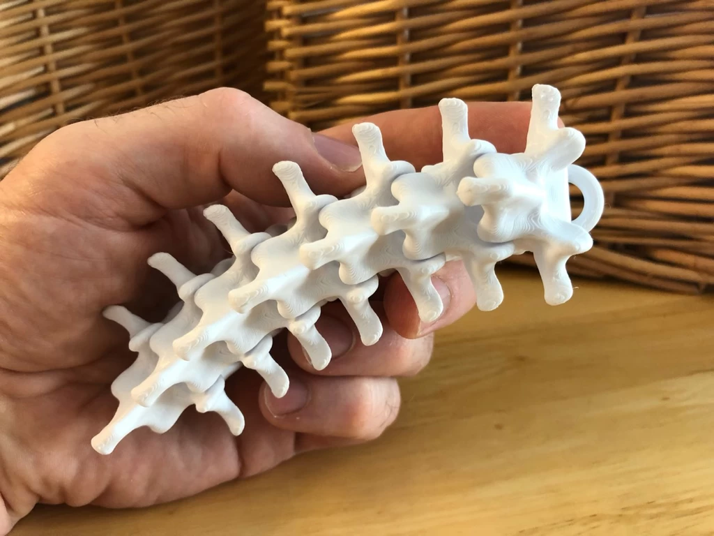 Mini articulating spine keychain 3d model for 3d printers free