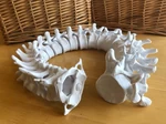  Full-sized anatomically correct articulating spine  3d model for 3d printers