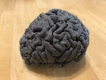 Modelo 3d de Rompecabezas del cerebro para impresoras 3d