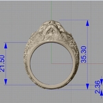  Skull ring jewelry skeleton ring 3d print model  3d model for 3d printers