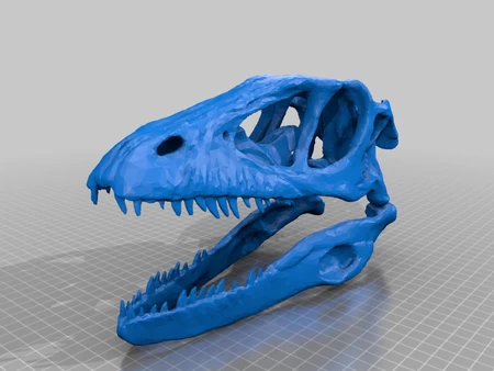  Skulls  3d model for 3d printers