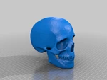  Skulls  3d model for 3d printers