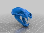 Modelo 3d de Cráneos para impresoras 3d