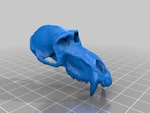 Modelo 3d de Cráneos para impresoras 3d