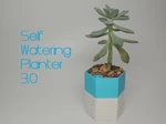  Self-watering planter 3  3d model for 3d printers