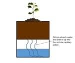  Self-watering planter  3d model for 3d printers