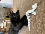 Modelo 3d de Lagarto de juguete para gato para impresoras 3d