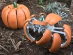  Halloween pumpkin spider transformer  3d model for 3d printers