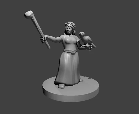  Wizard, warlock, sorcerer, and druid collection!   3d model for 3d printers