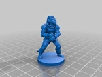 Modelo 3d de Colección de luchadores! para impresoras 3d