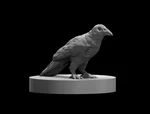  Zombie raven  3d model for 3d printers
